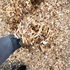 Playground Chips