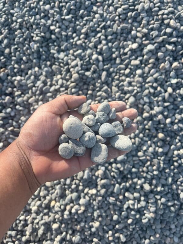 1-2 Round Rock - YARD