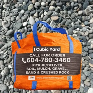 2-3 Round Rock Big Bags