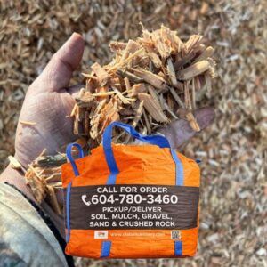 Playground Chips Bags