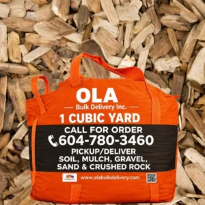 Playground Chips Bags